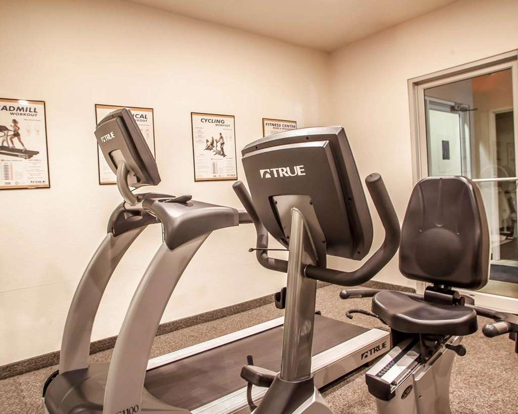 Quality Inn & Suites Hannibal Servizi foto